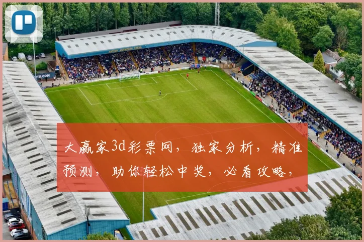 大赢家3d彩票网，独家分析，精准预测，助你轻松中奖，必看攻略，不容错过