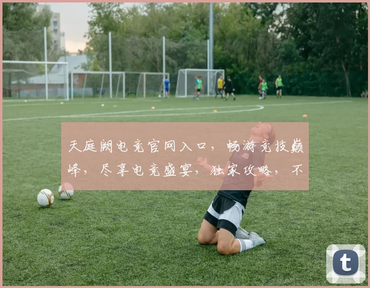 天庭阙电竞官网入口，畅游竞技巅峰，尽享电竞盛宴，独家攻略，不容错过