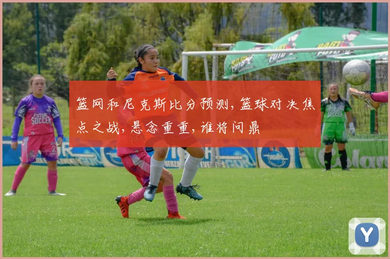 篮网和尼克斯比分预测,篮球对决焦点之战,悬念重重,谁将问鼎